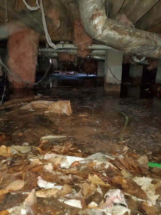 Crawl space flood assessment for Leak Detection & Repair in Benicia