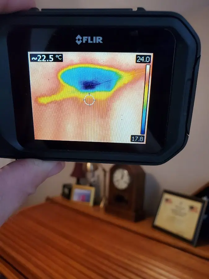 Thermal imaging inspection for water damage in Benicia