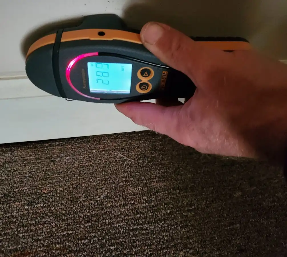 Moisture detection at baseboard during Mold Inspection & Testing in Benicia